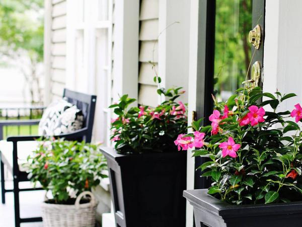 10 cách sử dụng chậu hoa để tô điểm cho thềm nhà mùa hè thêm rực rỡ