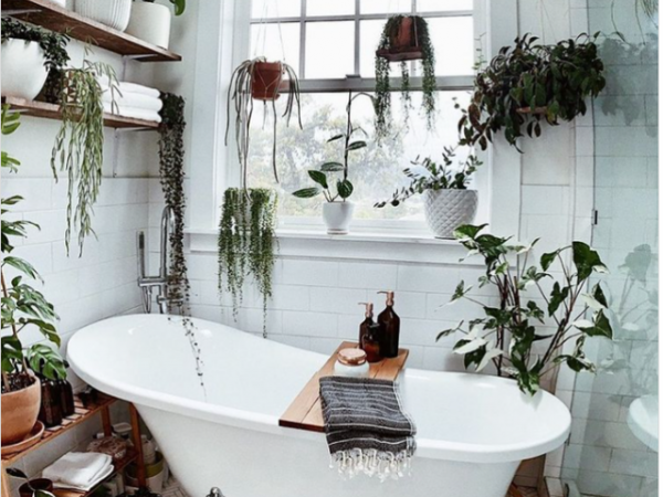 9 ý tưởng độc đáo tạo vườn treo xanh tươi, đẹp mắt trong phòng tắm